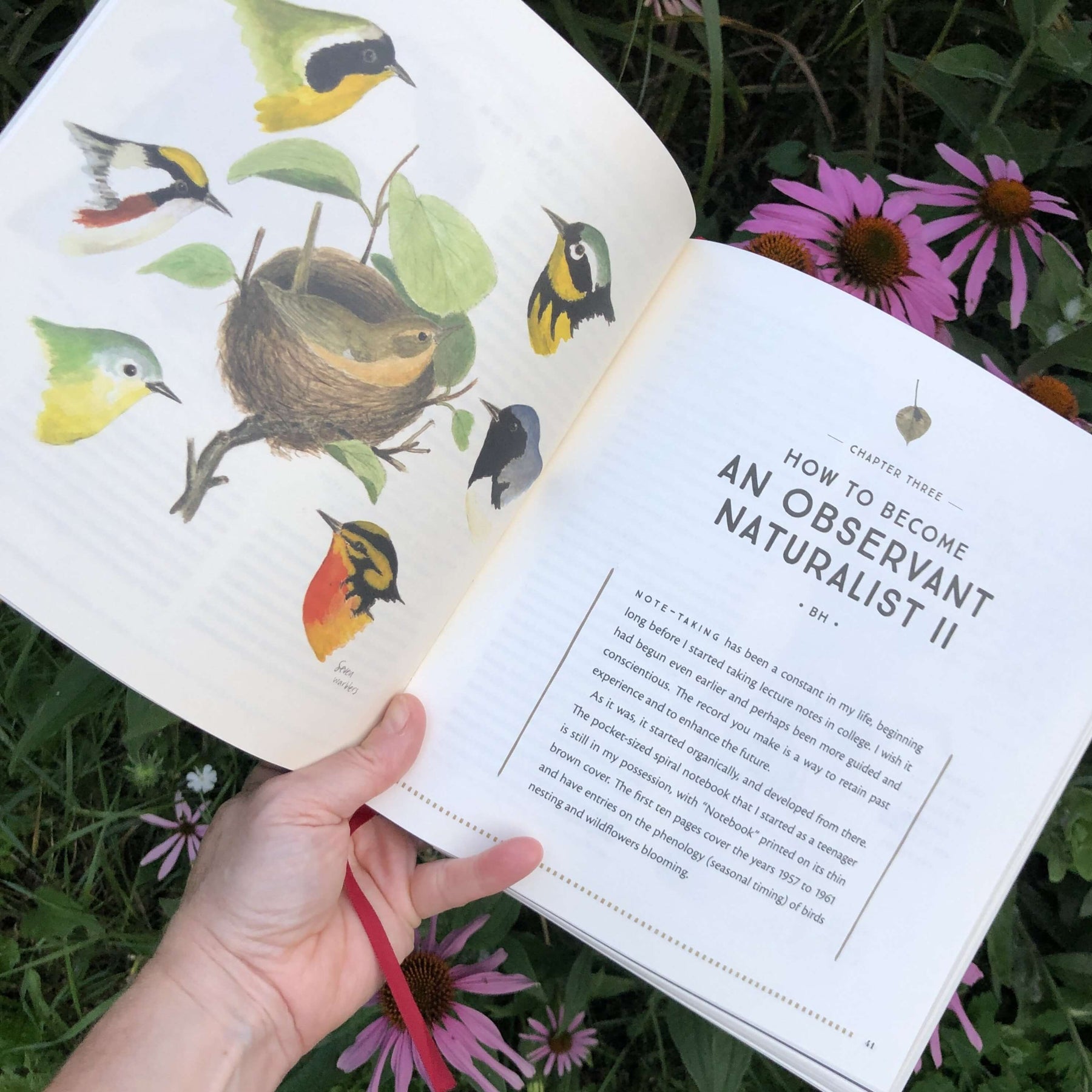 The Naturalist's Notebook - Heritage Bee Co.