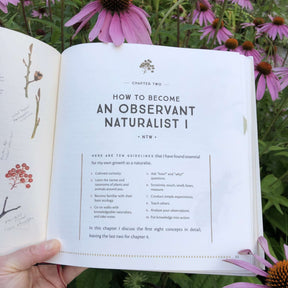 The Naturalist's Notebook - Heritage Bee Co.