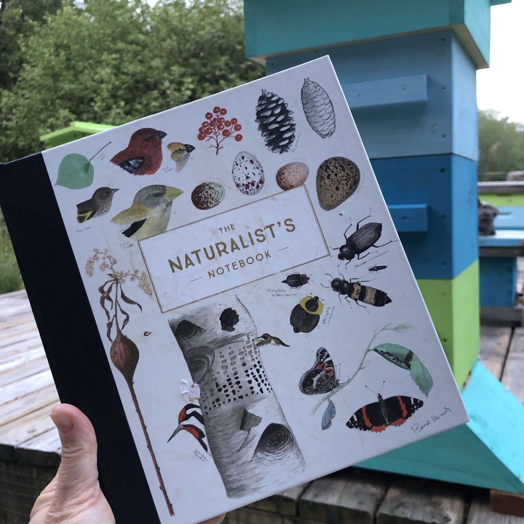 The Naturalist's Notebook - Heritage Bee Co.